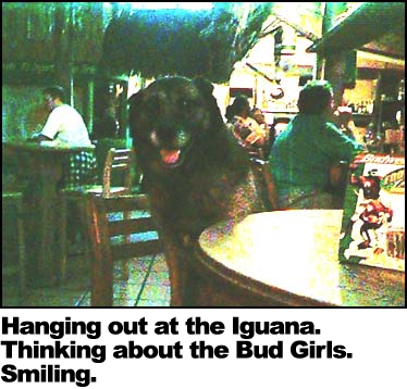 Hanging out at the Iguana.