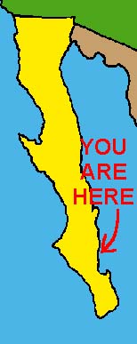 You are here
