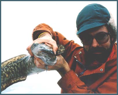 Nice fish