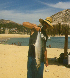 Nice fish