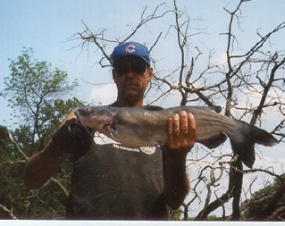 Nice fish