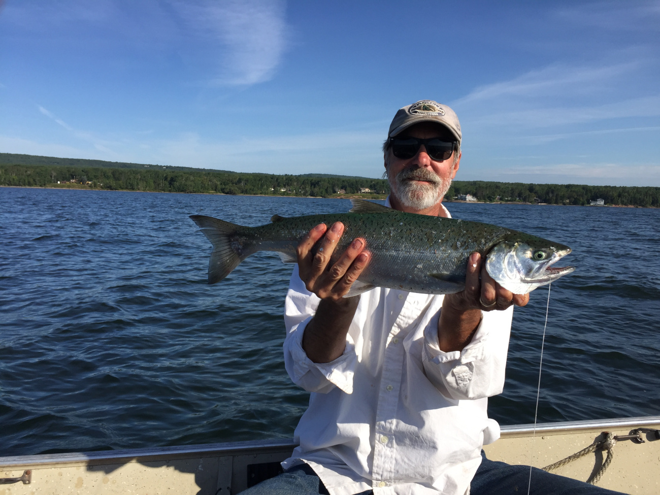 Nice fish