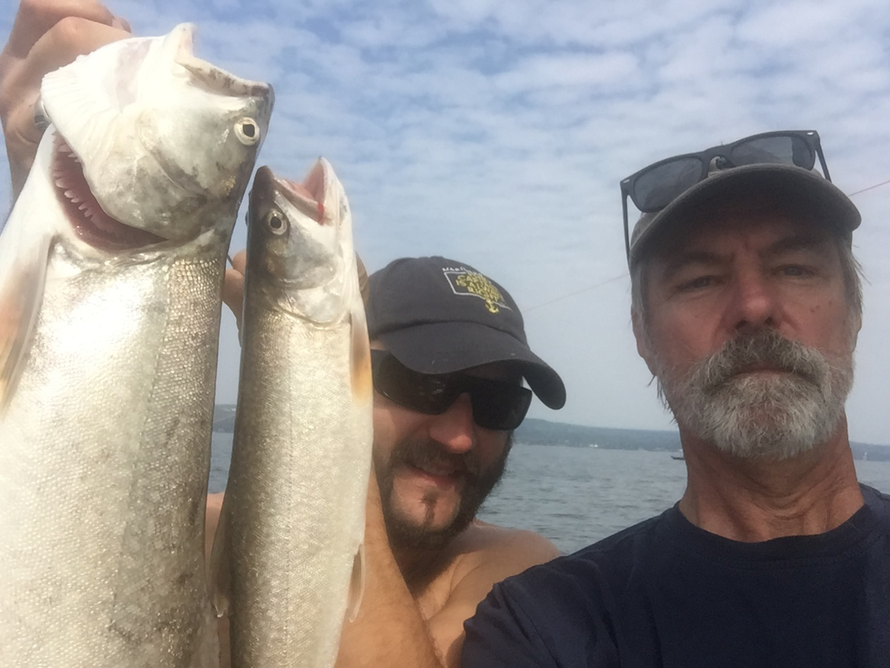 Nice fish