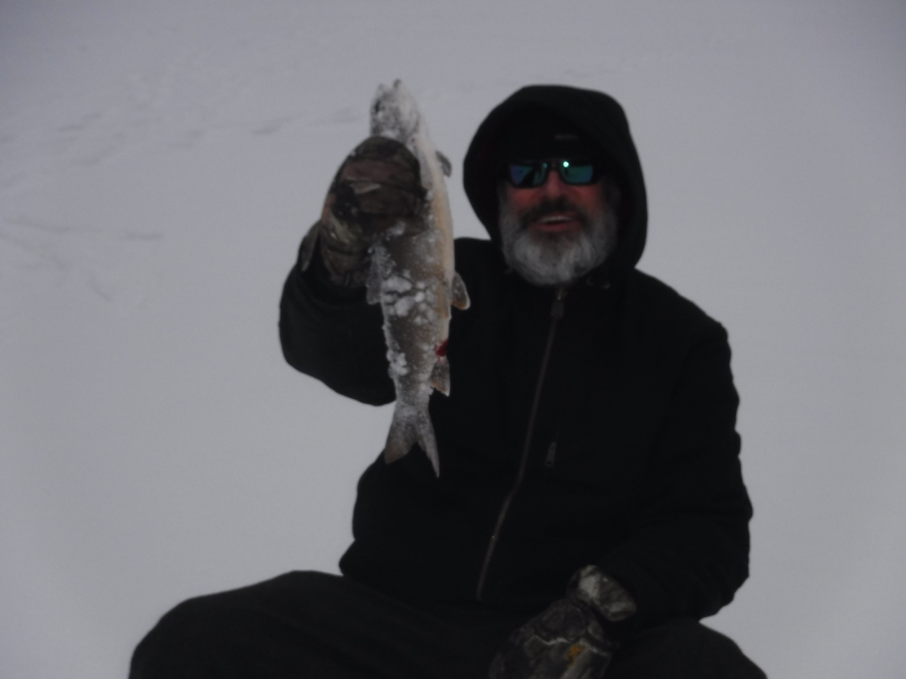 Nice fish