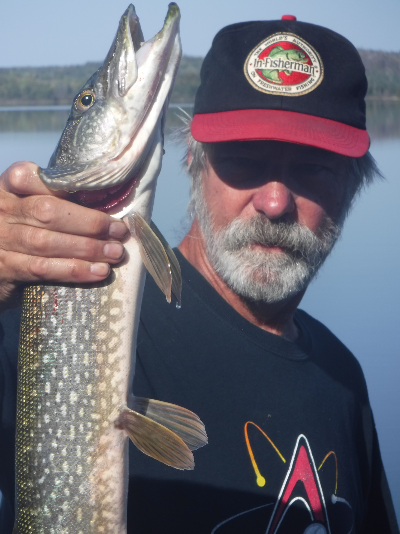 Nice fish