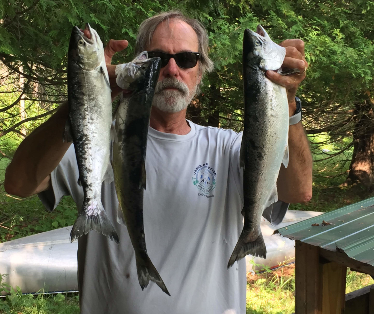 Nice fish