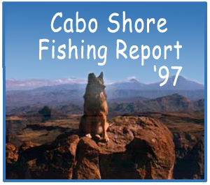 Cabo Shore Fishing Report '97